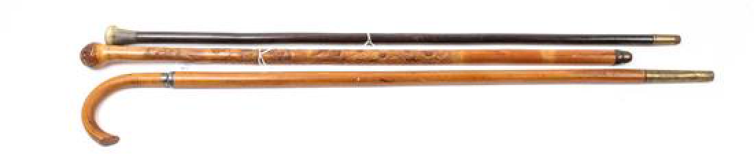 * A Collection of Three Canes Length of first 33 1/4 (1 of 1)