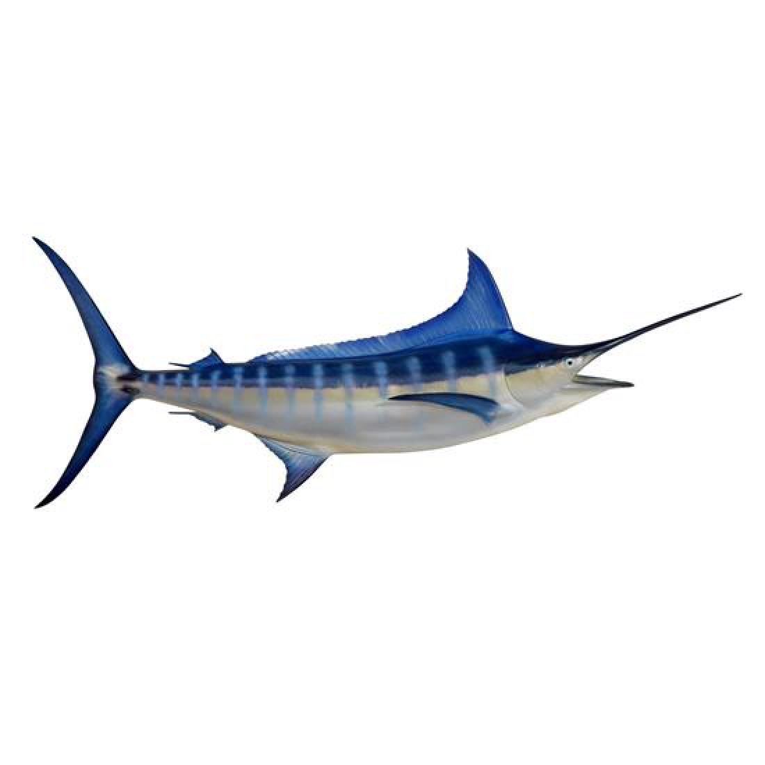 A Blue Marlin Mount 104" W x 12" D x 40" H (1 of 3)