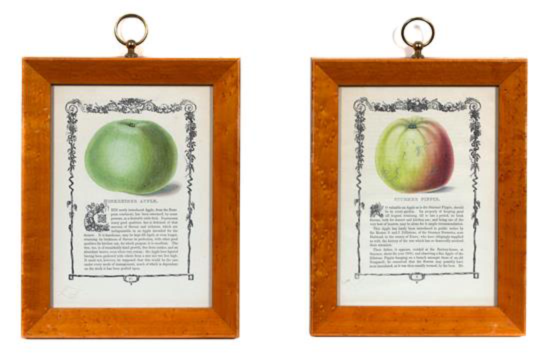 Four Prints of Apples Framed 10 1/8 x 7 7/8 inches. (1 of 1)