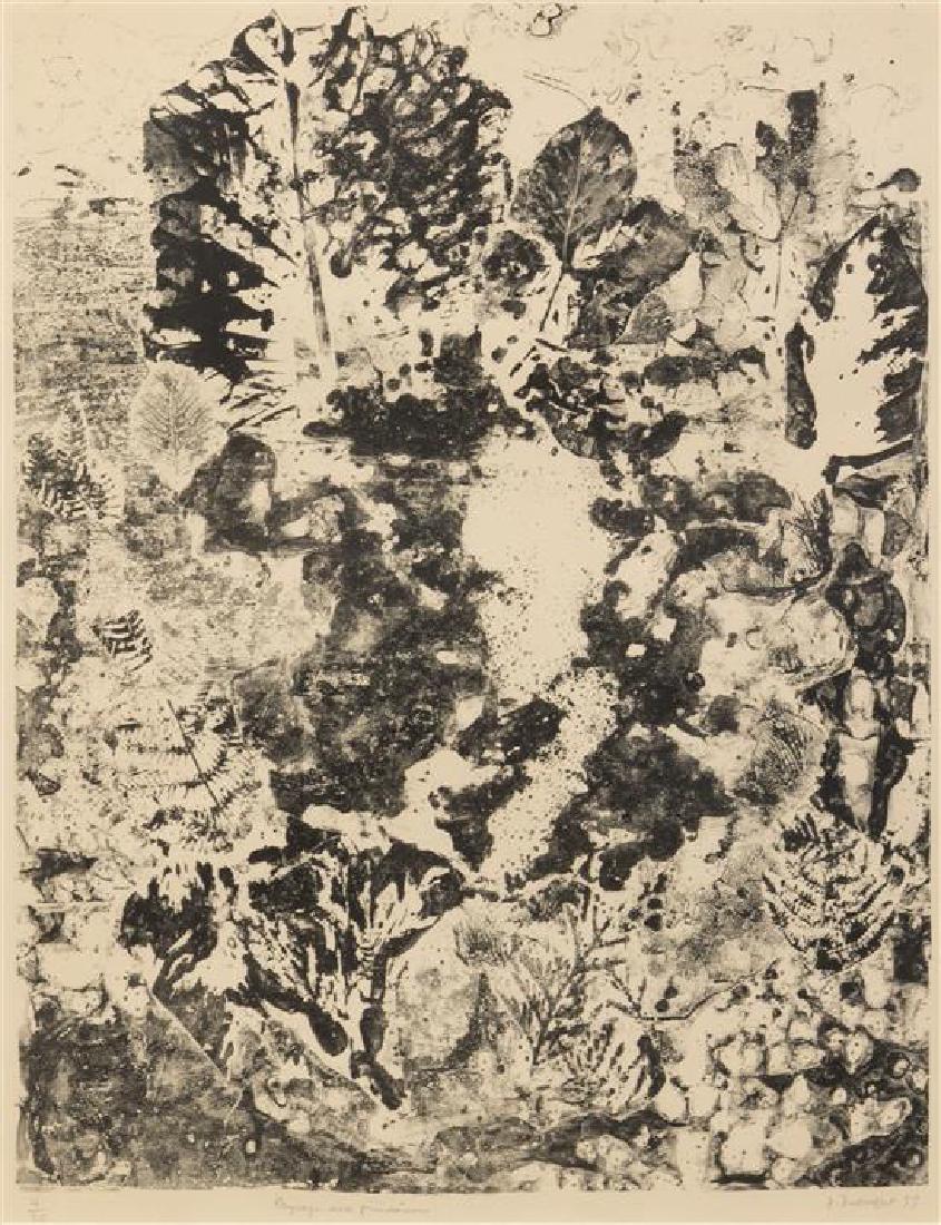 Jean DuBuffet, (French, 1901-1985), Paysage aux (1 of 1)