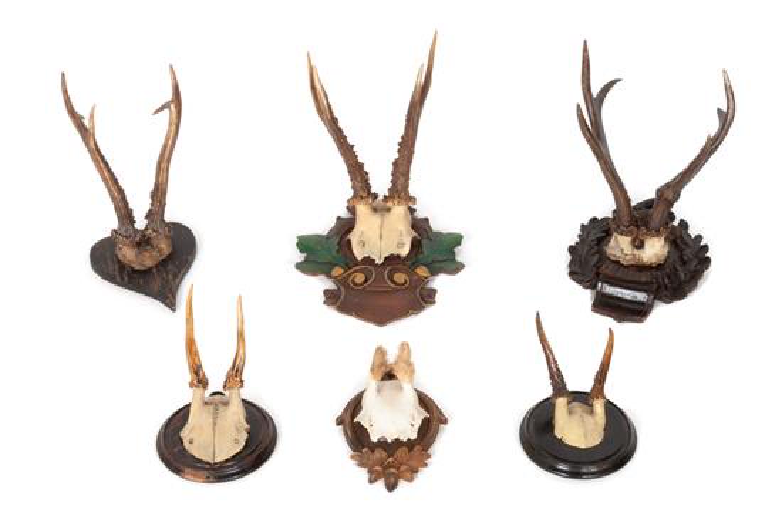 Six Black Forest Antler Mounts Height of largest 10 x (1 of 1)
