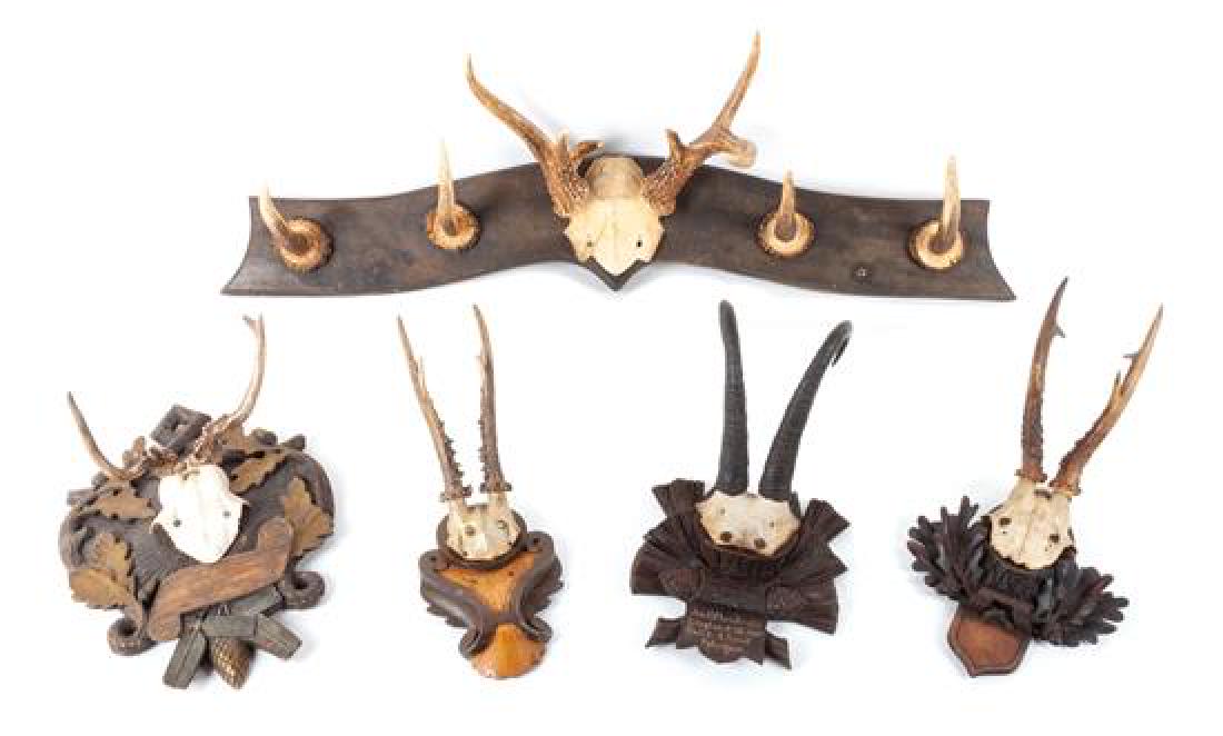 Group of Black Forest Antler Wall Mounts Length of (1 of 1)