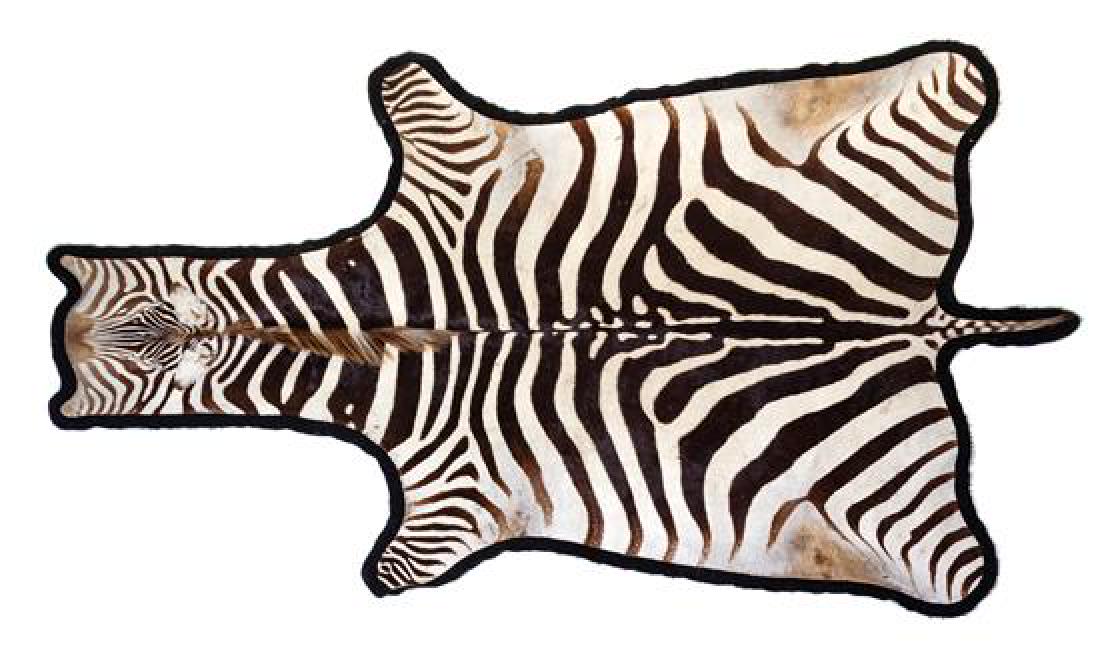 A Taxidermy Zebra Rug (1 of 1)