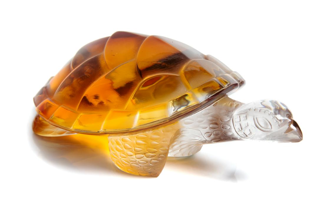 * Lalique, , Carolina Turtle (1 of 1)