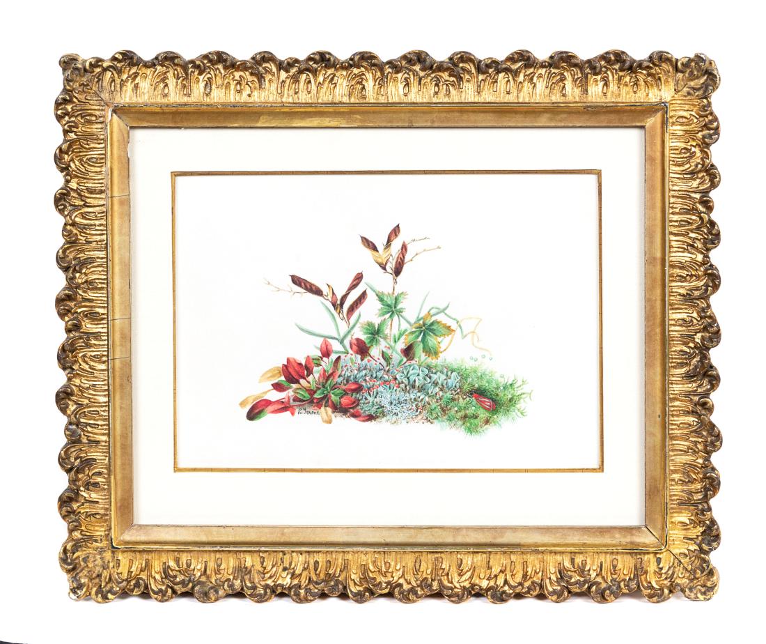 *A Floral Group 6 1/2 x 9 inches. (1 of 1)