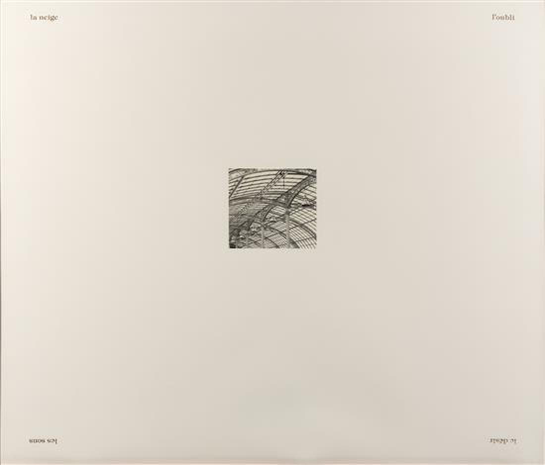 Mark Luyten, (Belgian, b. 1955), Serre III, 1990 (1 of 1)