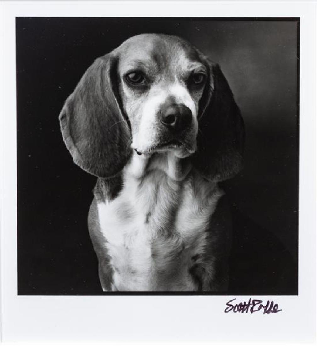 * Four Works of Art depicting Beagles Largest: 21 x 15: * Four Works of Art depicting Beagles comprising Joanne Barry New Dog on the Block watercolor; Roy Andersen Mornings' Scent photomechanical reproduction with stamps and graphite drawing; a black and w