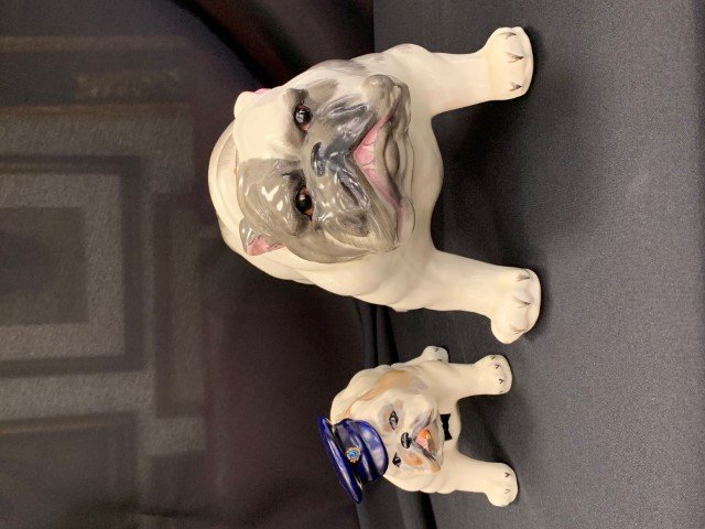 * Two Crown Devon Bulldogs Width of wider 11 1/2 (1 of 1)