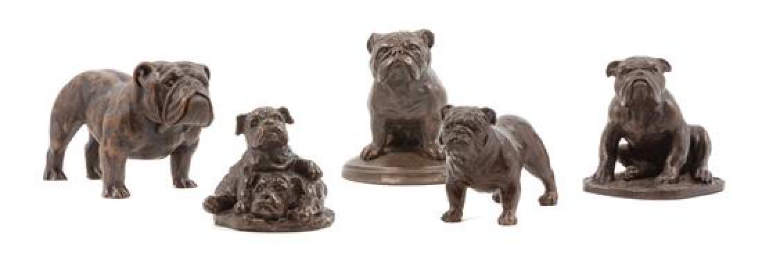 * A Group of Five Composite Bulldogs Width of widest 6 (1 of 1)