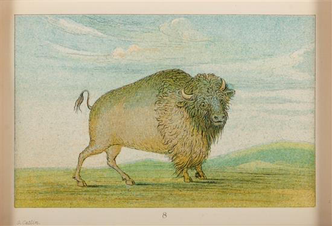 After George Catlin 3 1/4 x 5 inches: After George Catlin (american, 1796-1872) Bison, plate 8 from Manners, Customs and Condition of the North American Indians, color lithograph, inscribed in plate G. Catlin (lower left) 3 1/4 x 5 inches