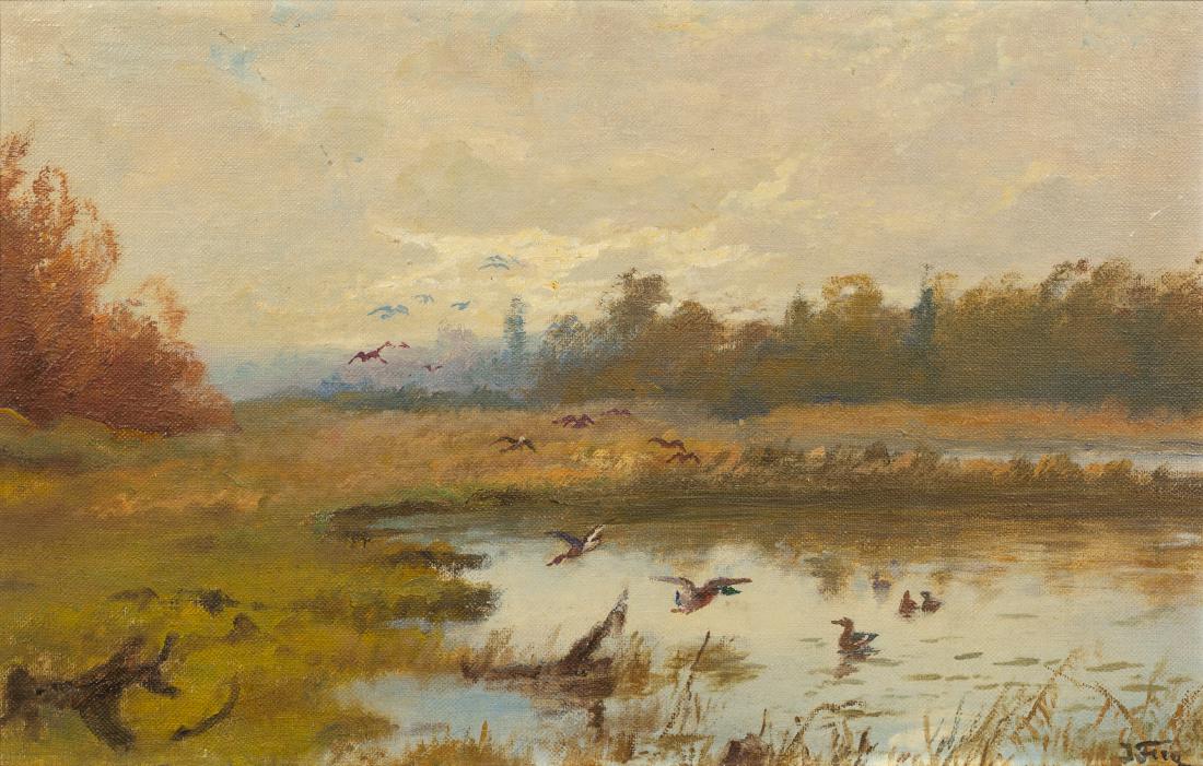 John Fery, (American, 1859-1934), Swamp in Wisconsin (1 of 1)