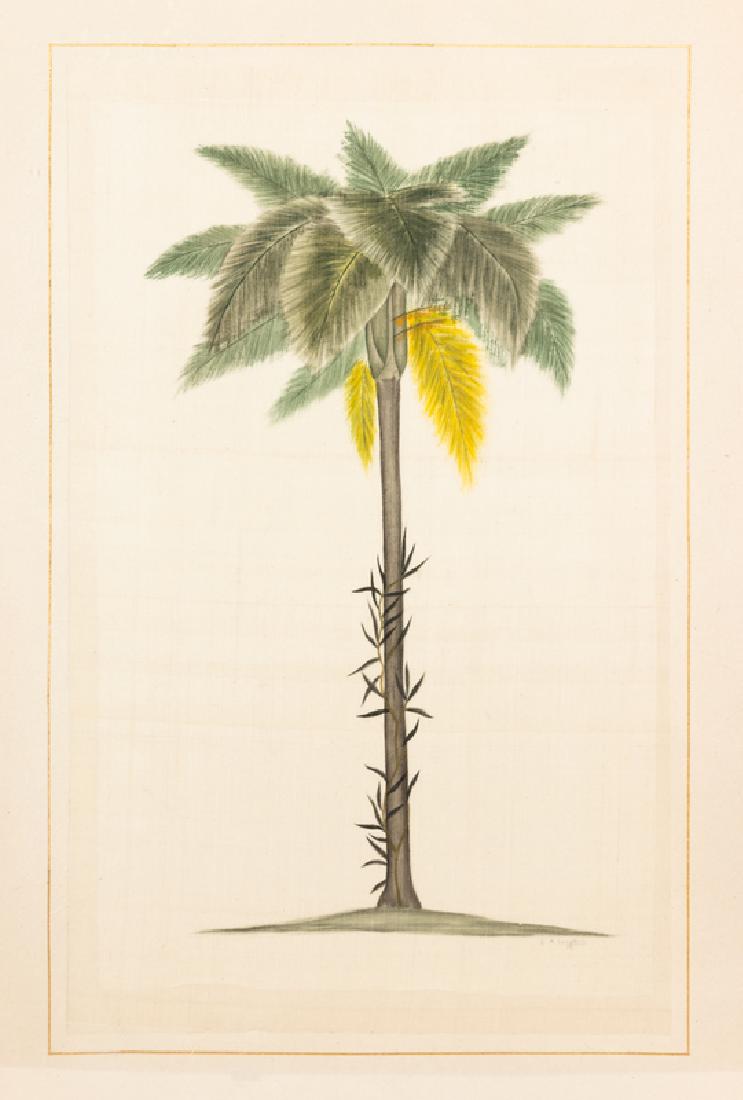 La Roche Laffitte (1 of 2)