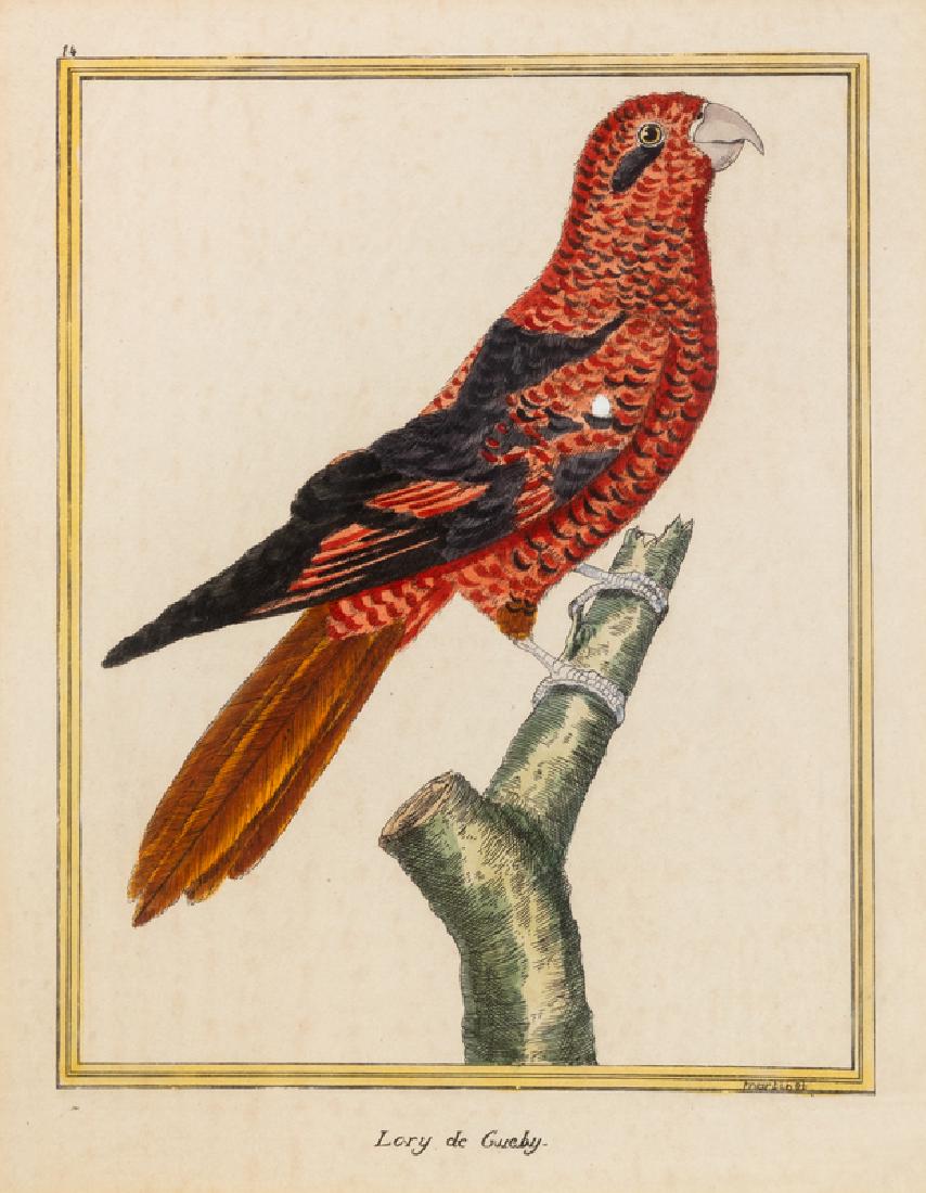 A Pair of Hand Colored Bird Engravings (1 of 2)