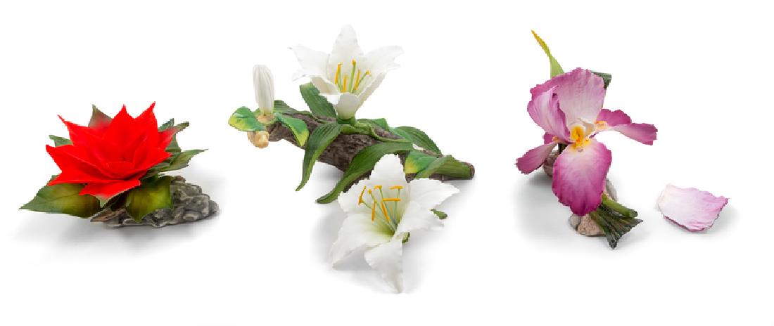 A Group of Three Boehm Porcelain Flowers (1 of 2)