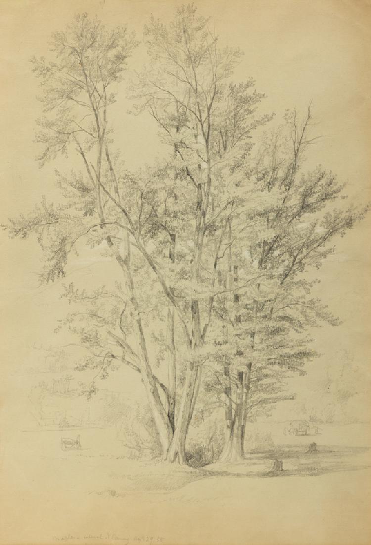 Daniel Huntington  (American, 1816-1906) Two Trees: (1 of 1)