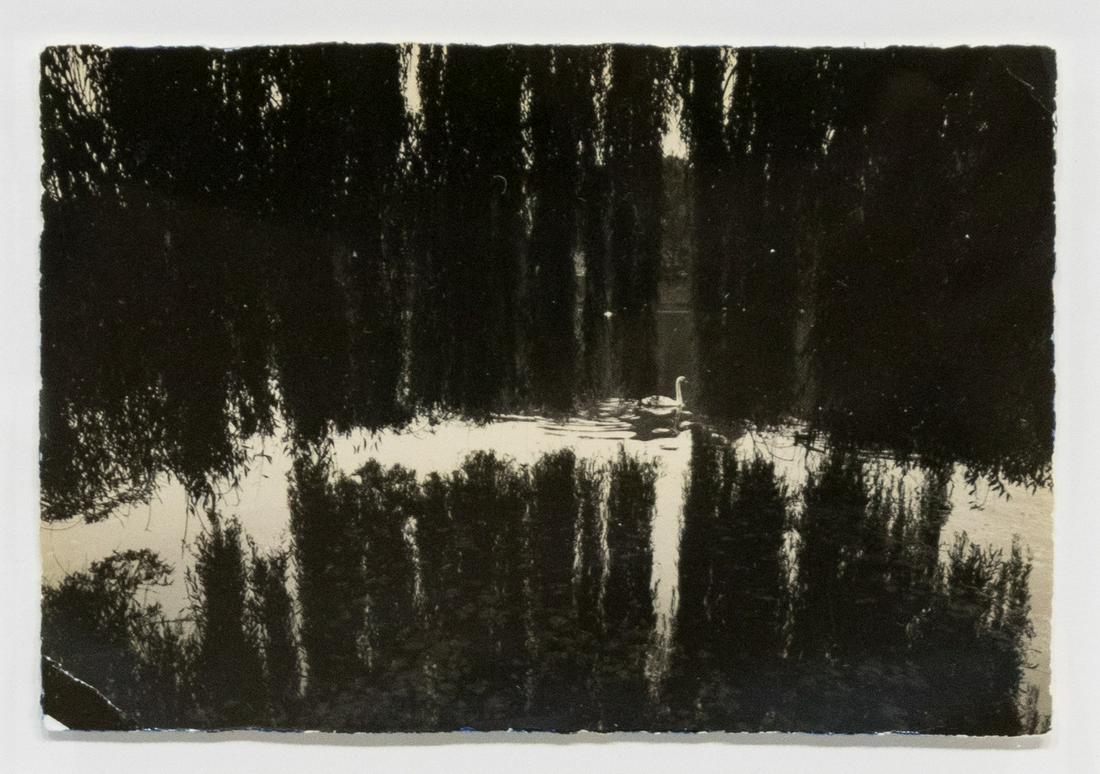 Masao Yasmamoto (1 of 1)