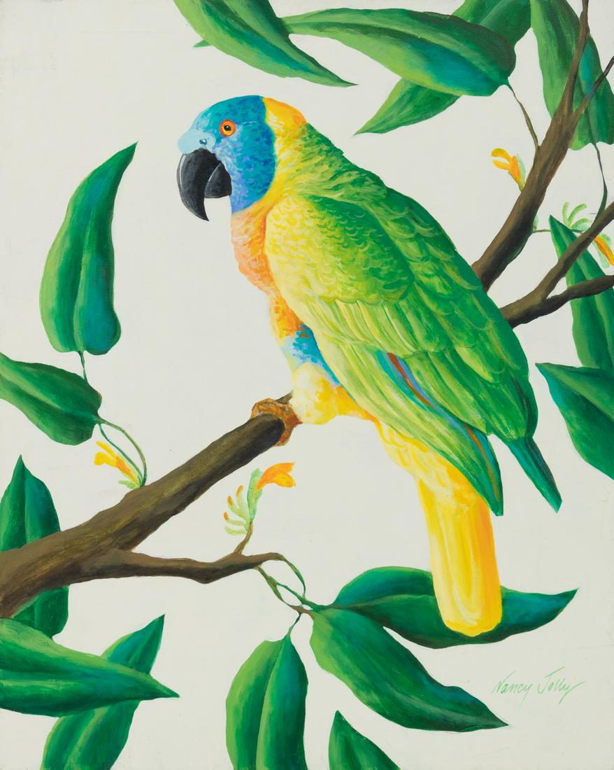 Nancy Jolly (American, b. 1945) Amazon Parrot (1 of 2)