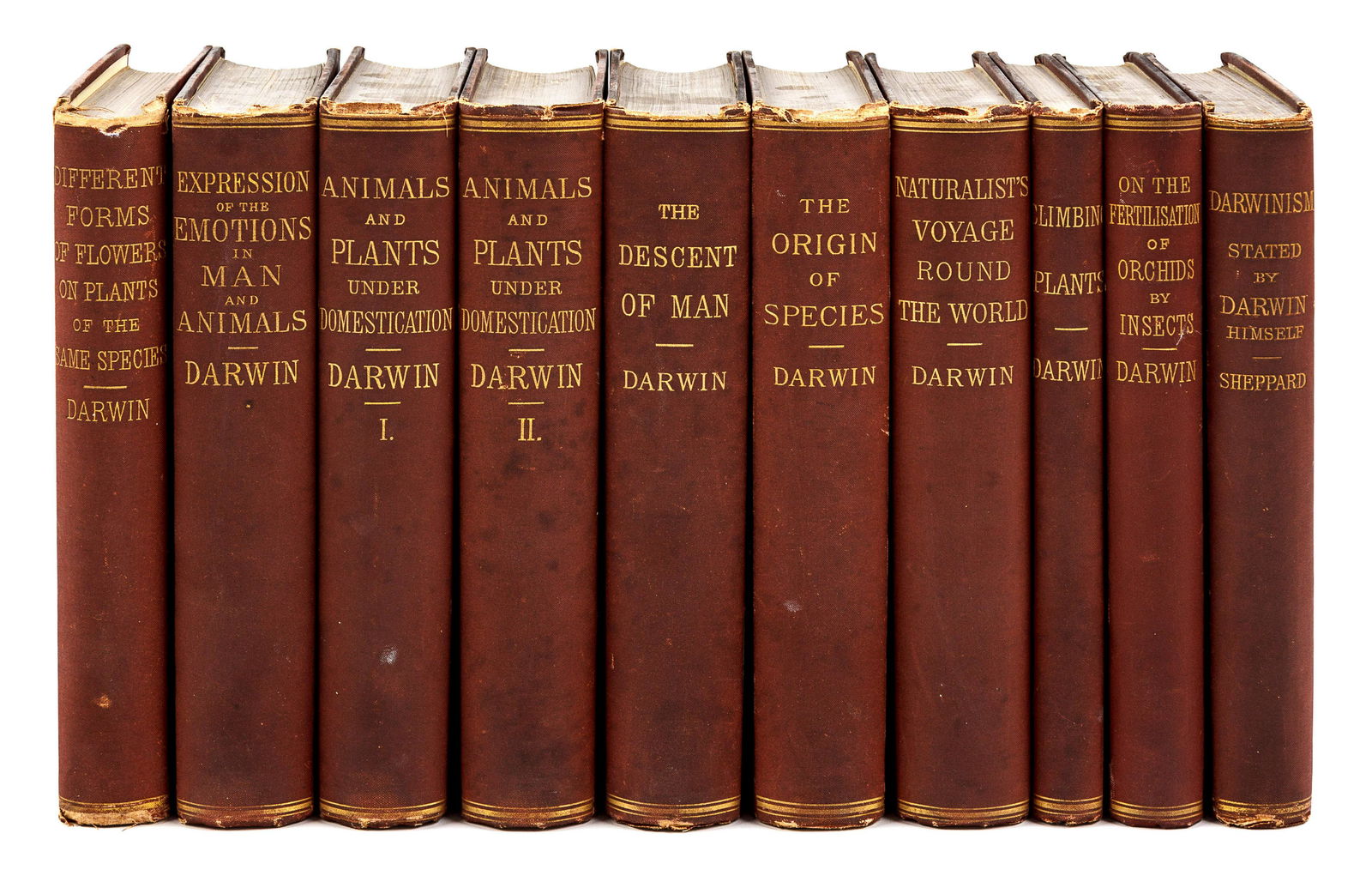 DARWIN, Charles (1809-1882). A group of American (1 of 1)