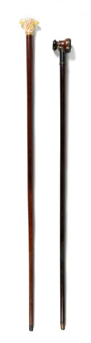 Two Continental Walking Sticks (1 of 2)