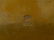 Four Middle Eastern Silver Cigarette Cases - 3
