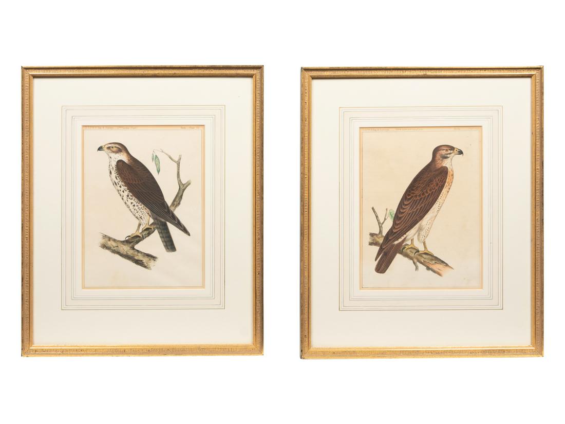 A Set of Six Hand-Colored Pacific Raiload Survey Falcon (1 of 3)