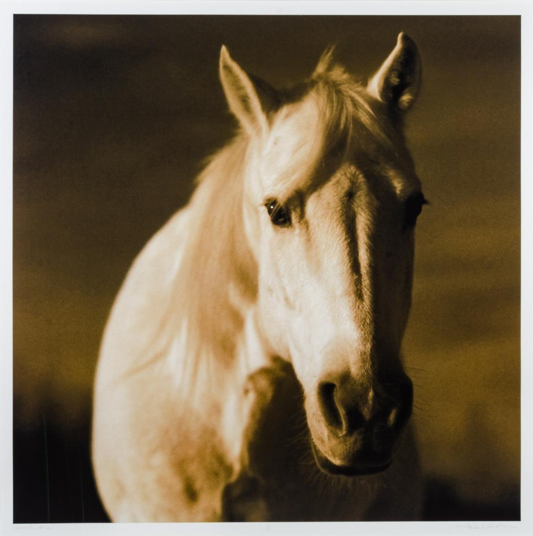 Michael Eastman  (American, b. 1947)  Horse 22 #1/14 (1 of 1)