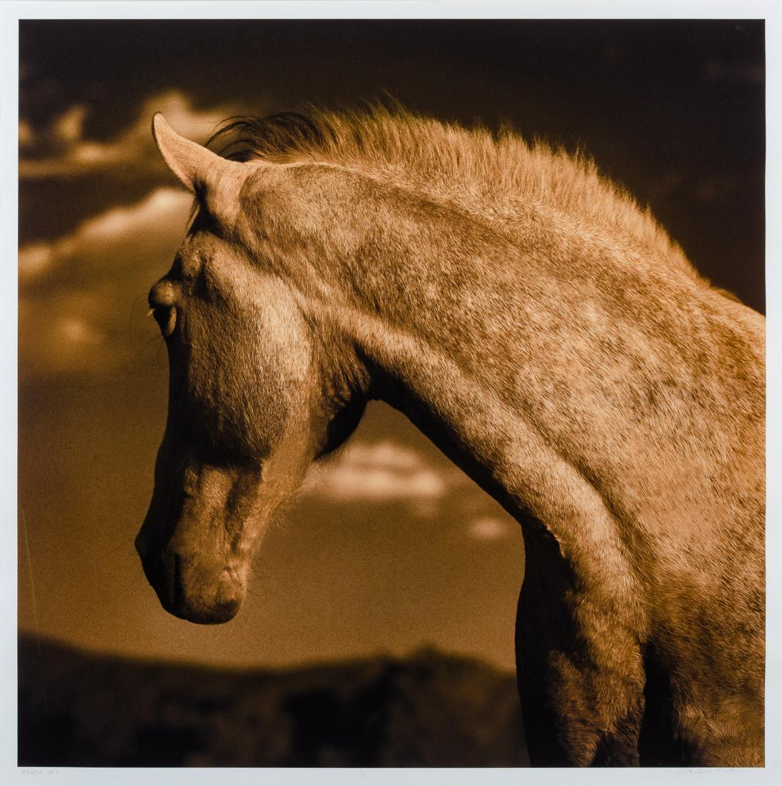 Michael Eastman  (American, b. 1947) Horse 1 #1/10 (1 of 1)