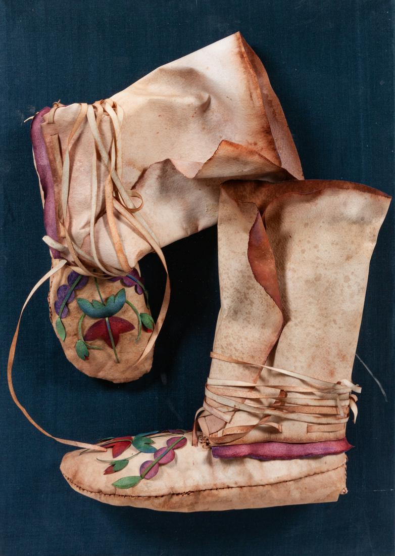 Jan Lindsay (American, 20th Century) Wild Woodland Rose (1 of 1)