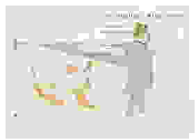 Henri de Toulouse-Lautrec (French, 1864-1901) Les First Image