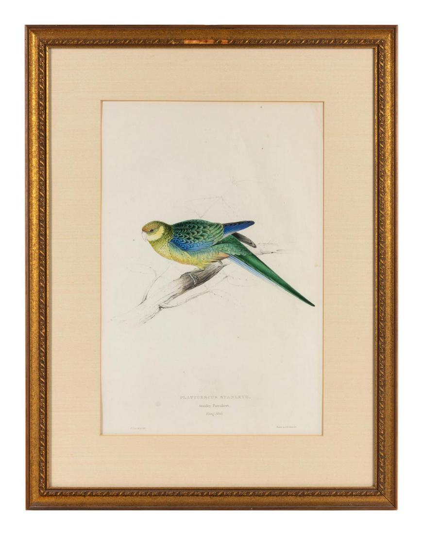 A Pair of Ornithological Prints: A Pair of Ornithological Prints After Edward Lear (British, 1812-1888) 18 x 12 inches. Property from the Collection of Dr. Gregory Boshart and Dr. William Lawrence, Chicago, Illinois