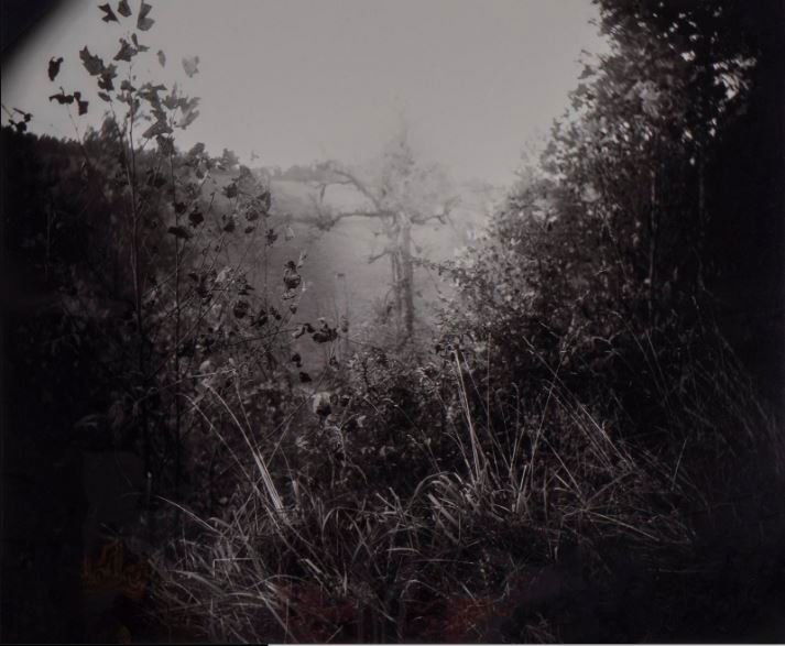 Sally Mann (American, b. 1951) Untitled, circa 1995: Sally Mann (American, b. 1951) Untitled, circa 1995 digital c-print signed and numbered 12/100, from America Now + Here Portfolio, 2009 Sheet 20 x 24 inches.