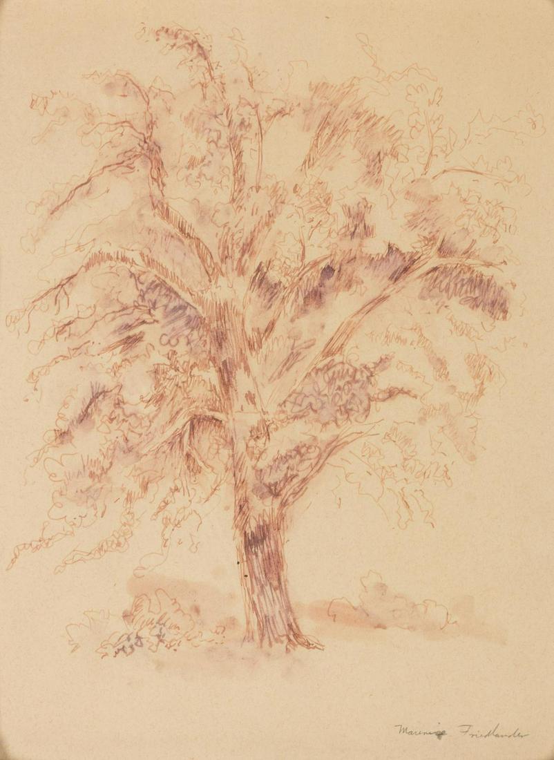 Maurice Friedlander sketch of a tree: Maurice Friedlander sketch of a tree