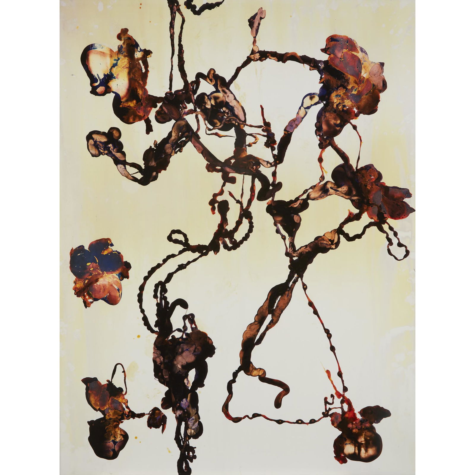 Adam Fuss (American/British, b. 1961), , Untitled from (1 of 1)