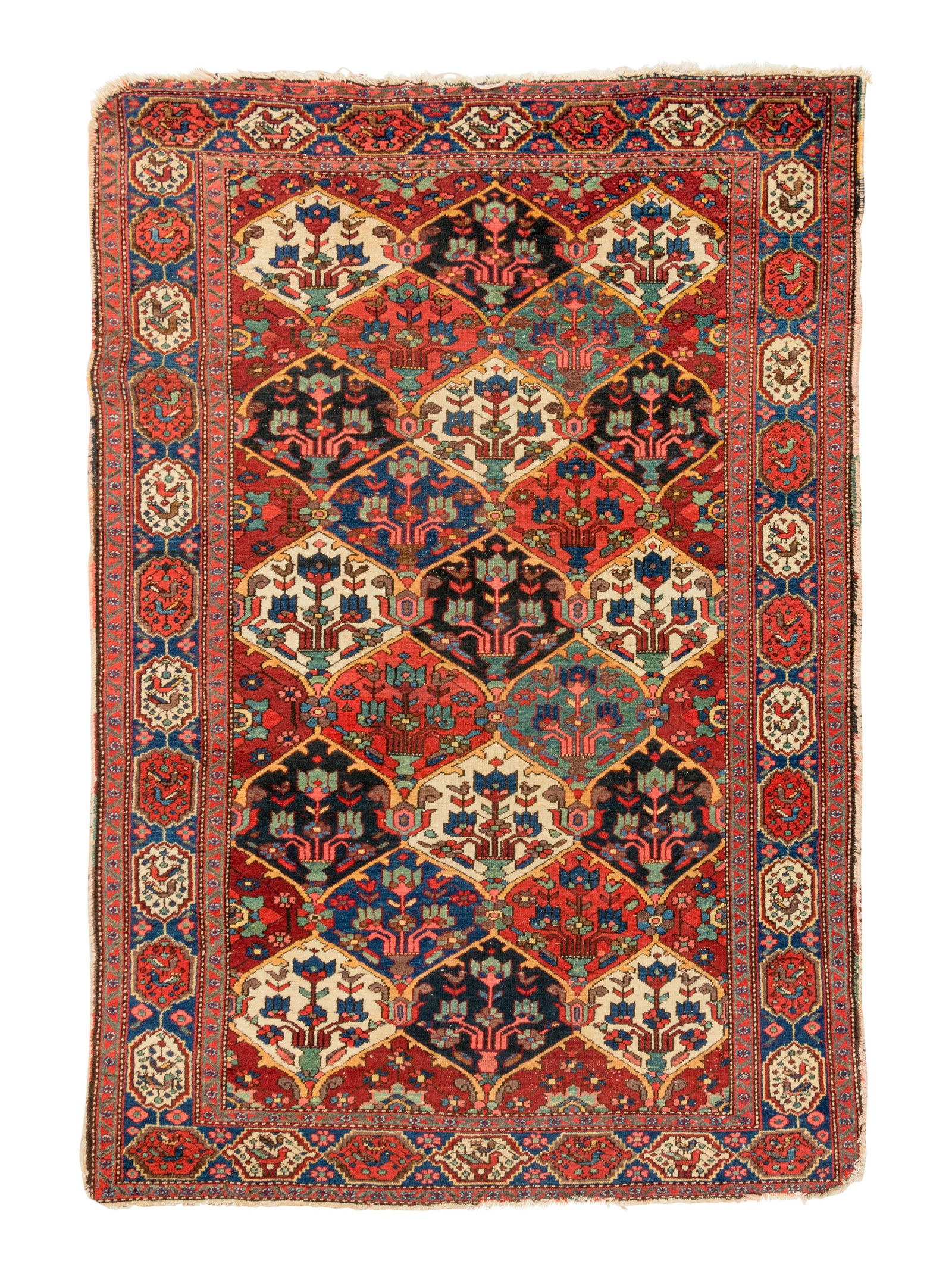 A Bakhtiari Wool Rug (1 of 1)