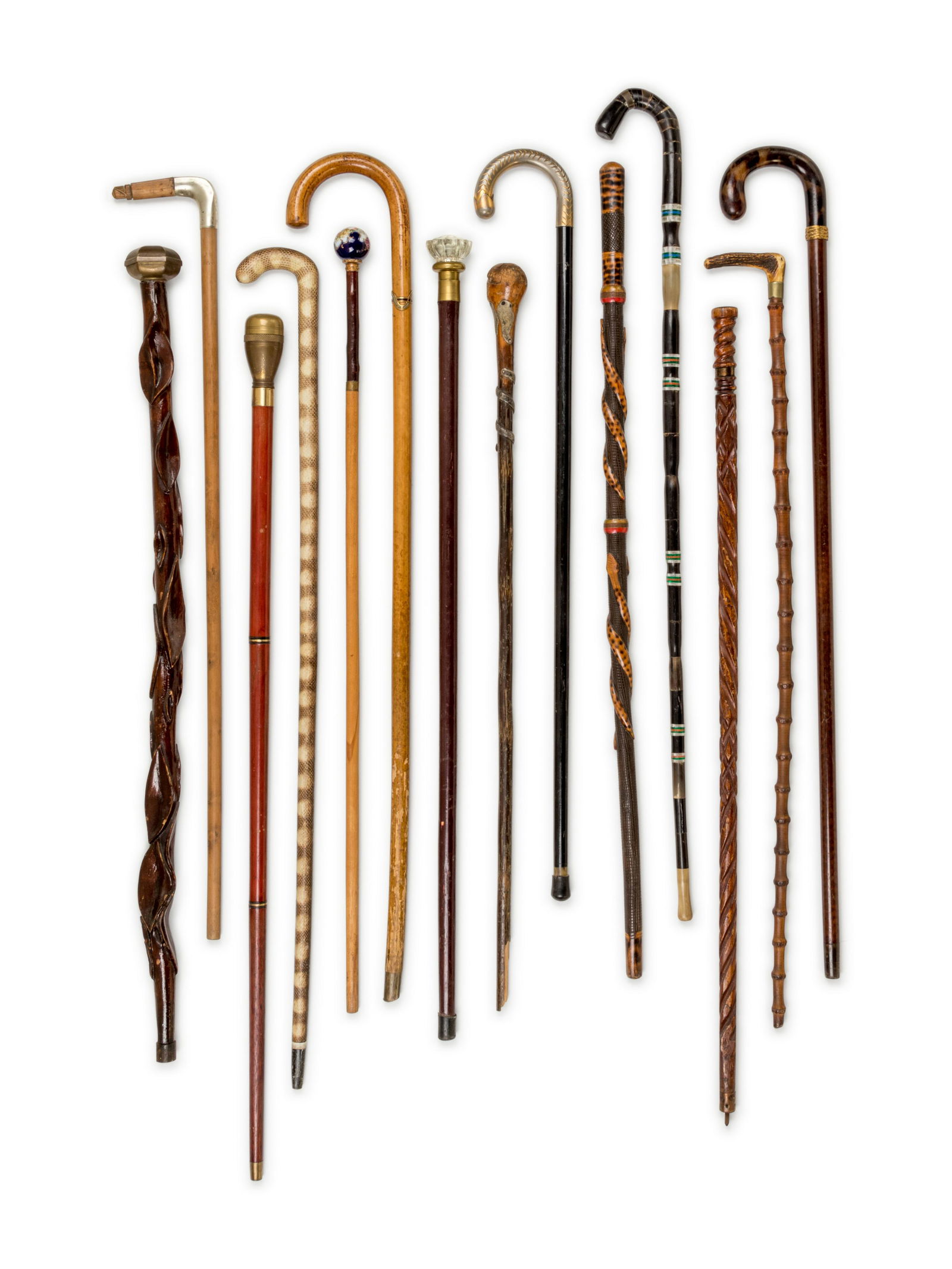 A Collection of Canes (1 of 7)