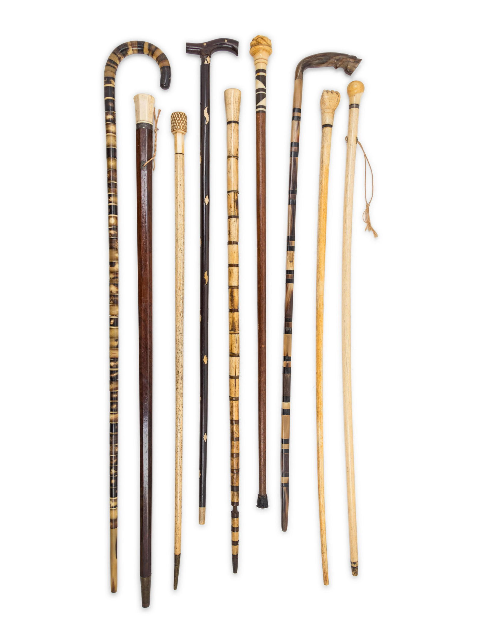 A Collection of Nine Canes  Length of longest 35 1/2 (1 of 1)