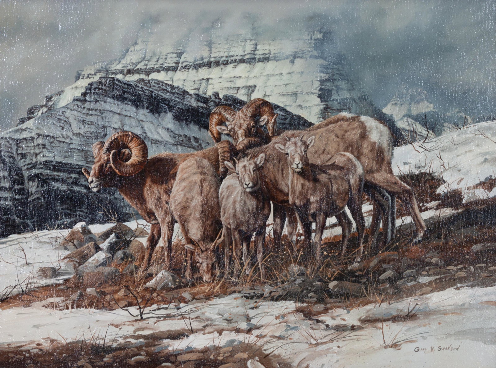 Gary Swanson (American, 1941-2010) Big Horn Sheep: Gary Swanson (American, 1941-2010) Big Horn Sheep, oil on canvas, signed Gary R. Swanson (lower right) 18 x 24 inches