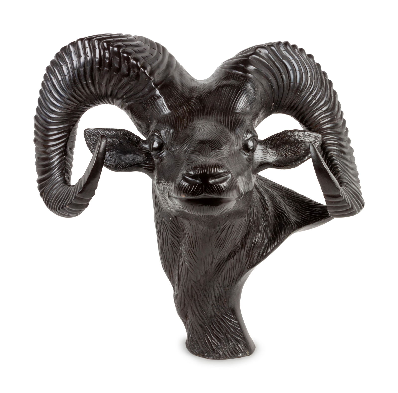 Bighorn Sheep (1 of 2)