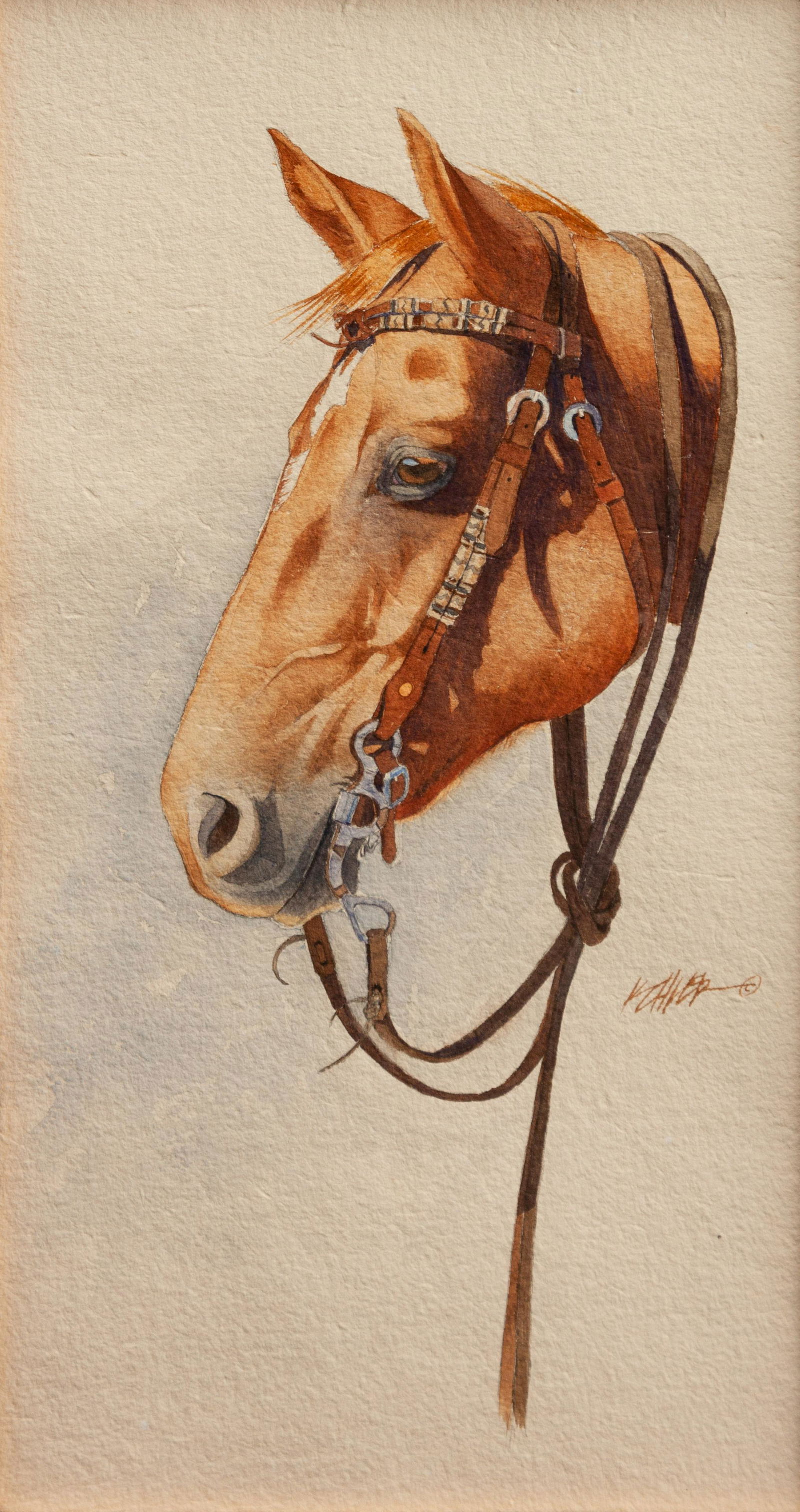 Mark Kohler (American, b. 1963) Bobcat (1 of 1)