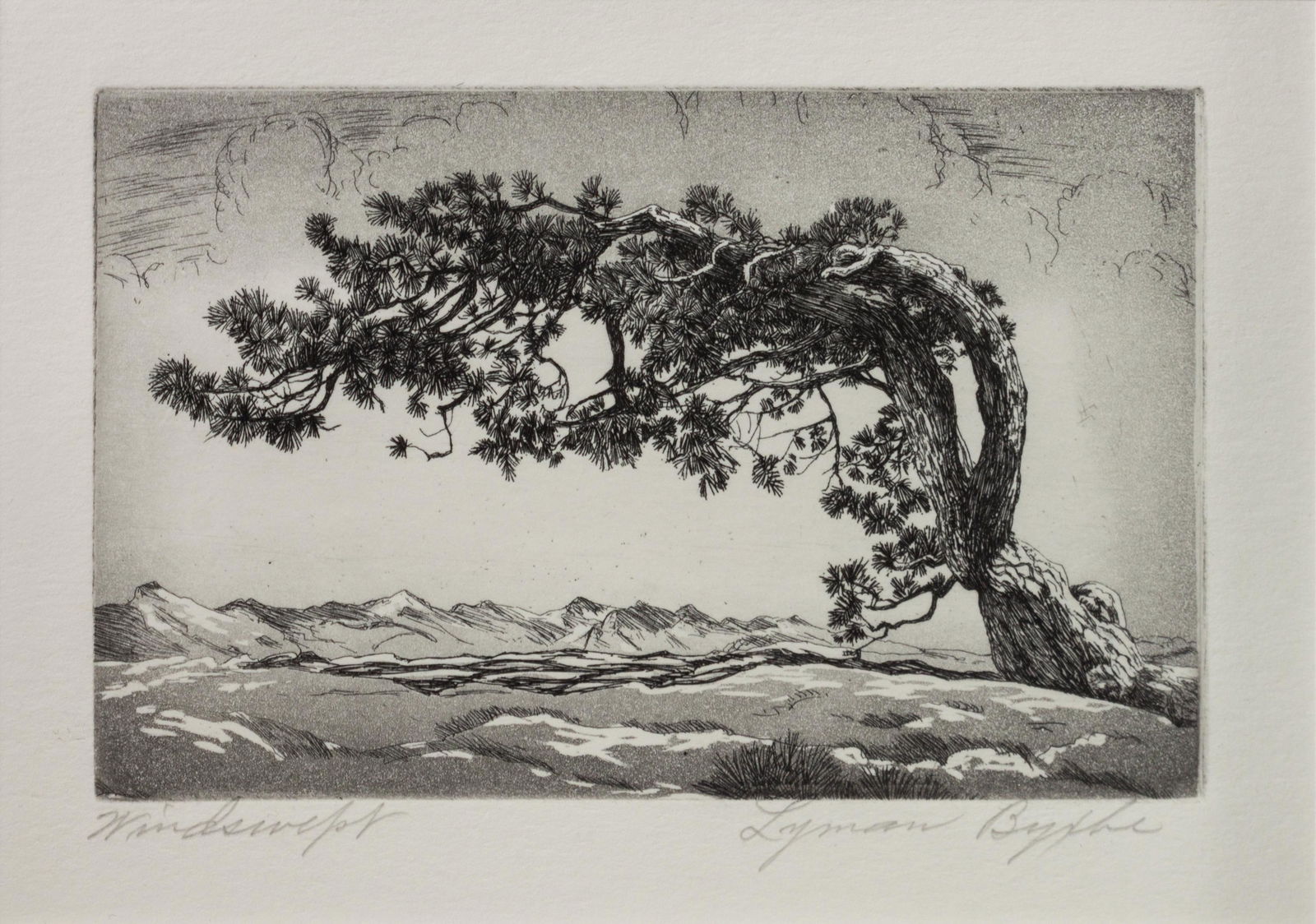 Lyman Byxbe (American, 1886-1980) Windswept (1 of 1)