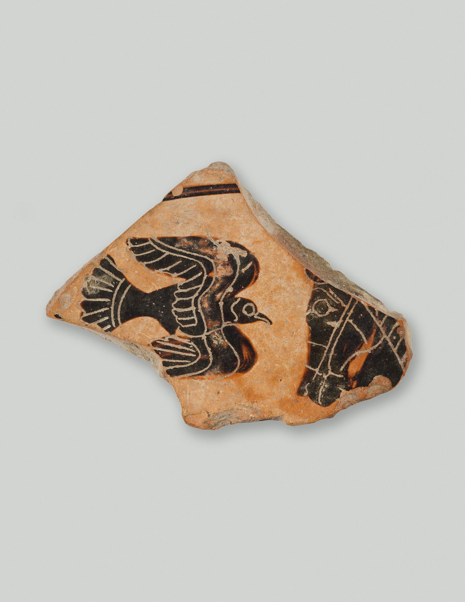 A Fragment from a Greek Black-Figured Cup Width 3 1/2 (1 of 2)