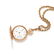 HAMPDEN, 14K TRICOLOR GOLD AND DIAMOND HUNTER CASE - 3