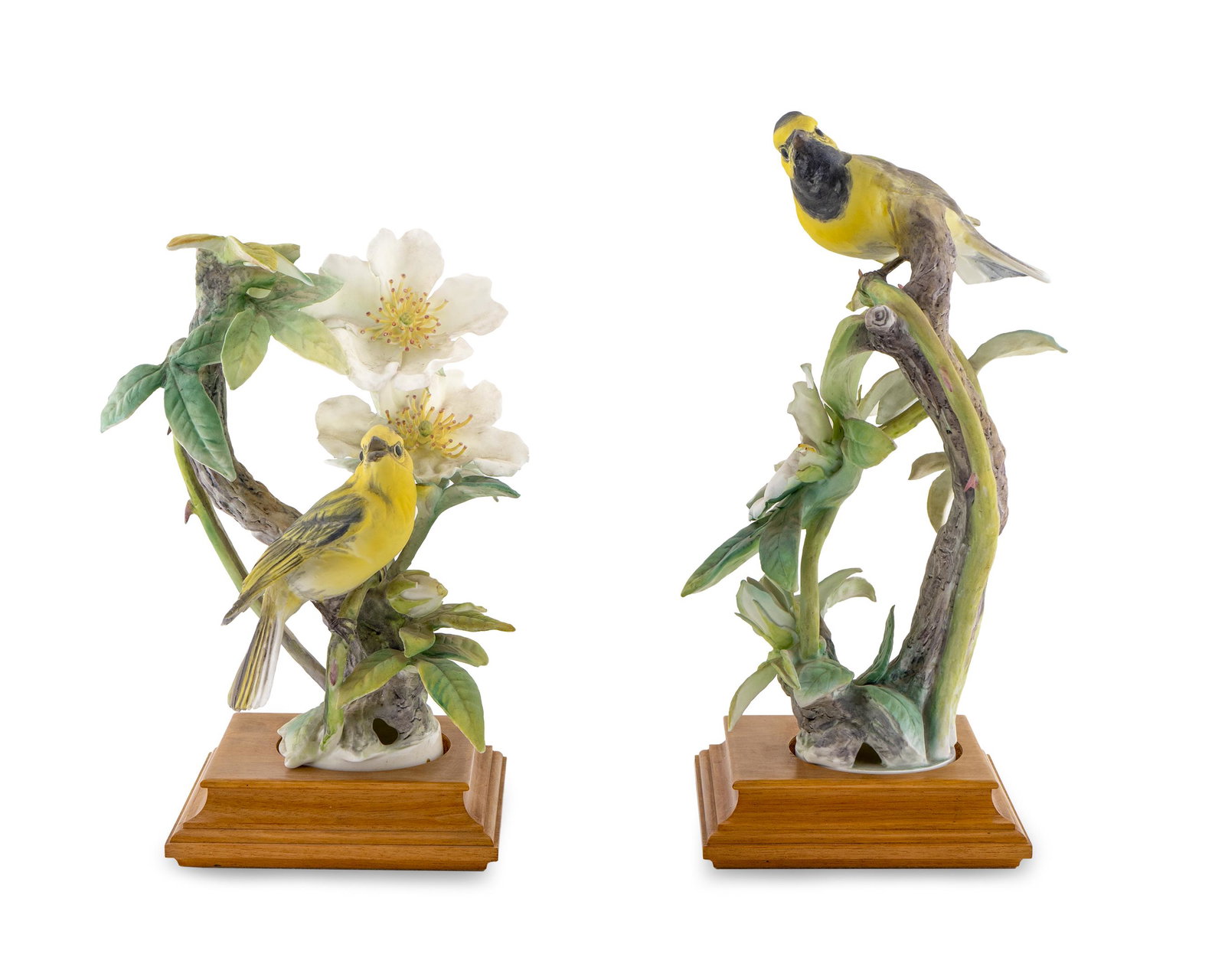 A Pair of Royal Worcester Porcelain Doughty Birds: A Pair of Royal Worcester Porcelain Doughty Birds 20TH CENTURY Hooded Warblers and Cherokee Rose Height of taller 11 3/4 inches.