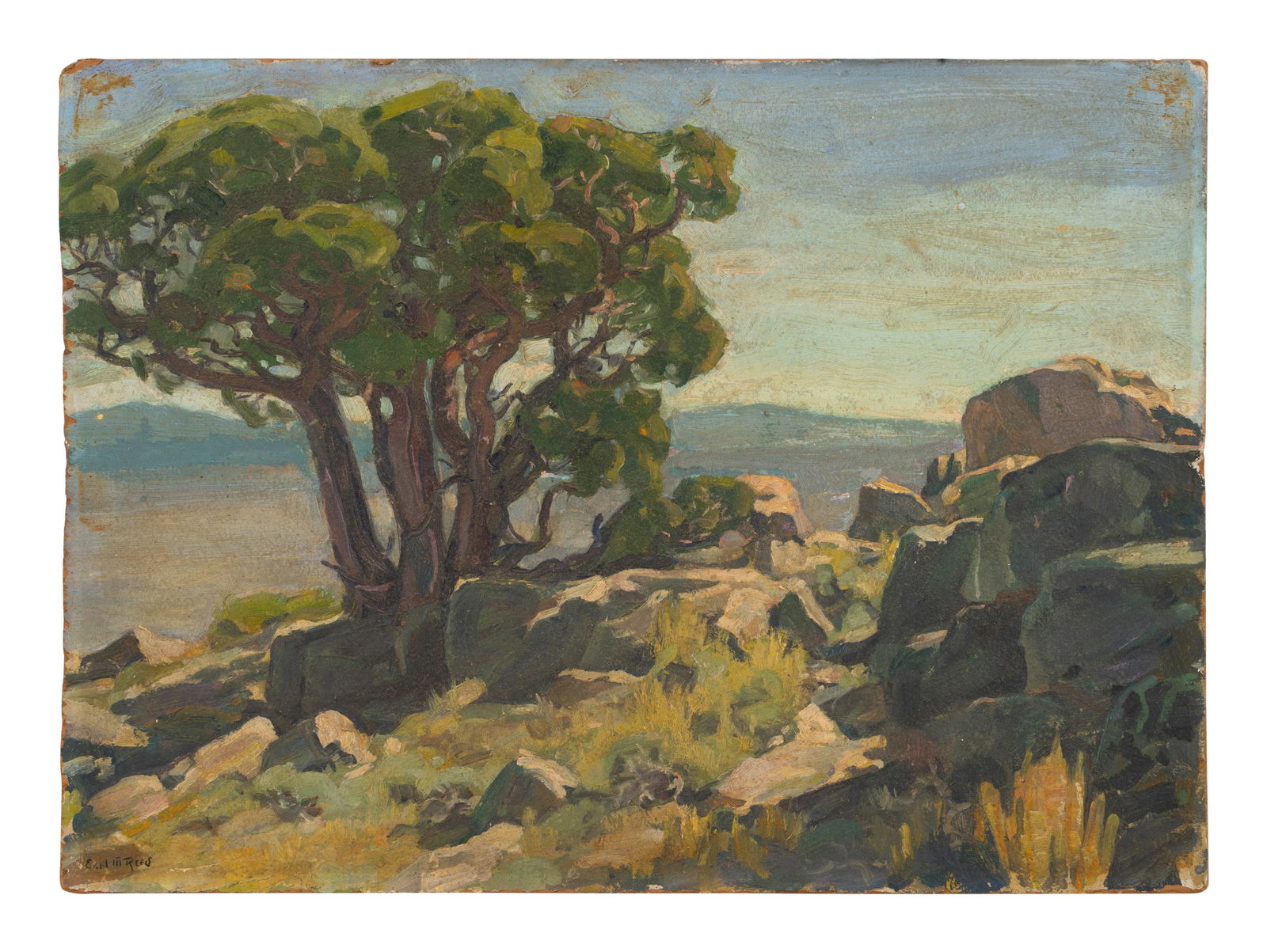 Earl Meusel Reed (American, b. 1895) A Mountain Cedar, (1 of 1)