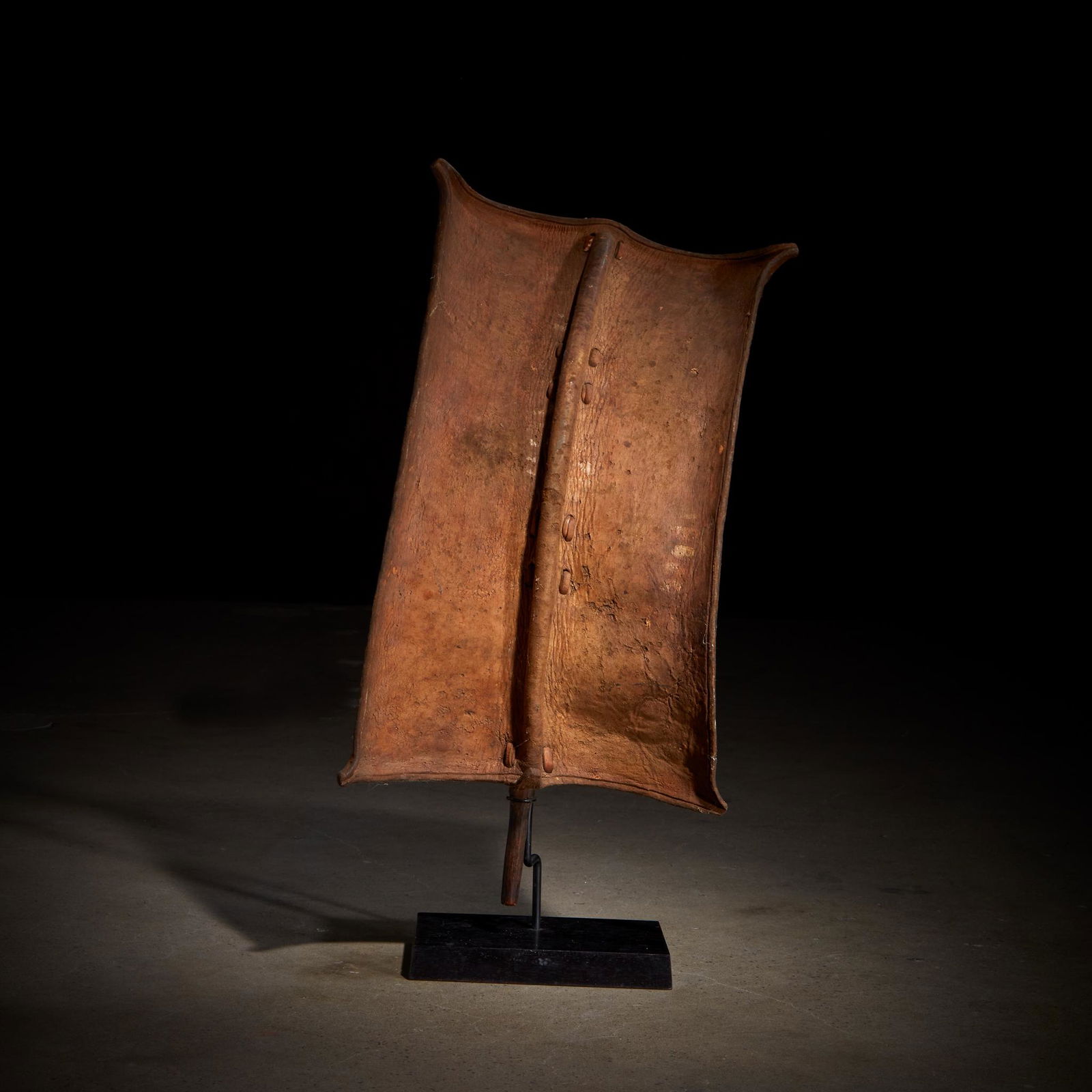 A Turkana shield, Kenya (1 of 3)