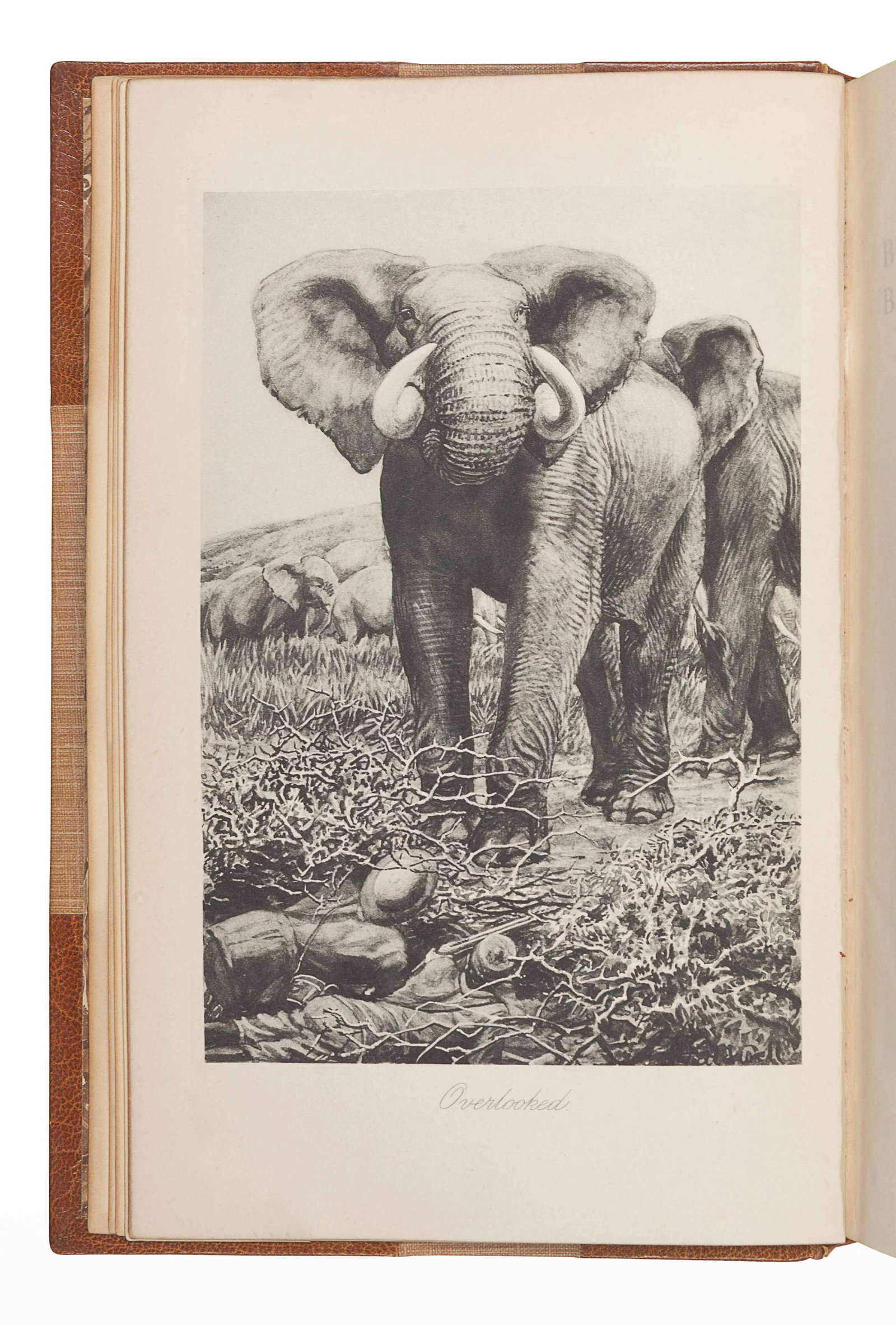 CHAPMAN, Abel (1851-1929). On Safari. London: Edward: CHAPMAN, Abel (1851-1929). On Safari. London: Edward Arnold, 1908. 8vo. Frontispiece and numerous plates. Contemporary half morocco gilt for Hatchards, with original cloth covers bound in at end