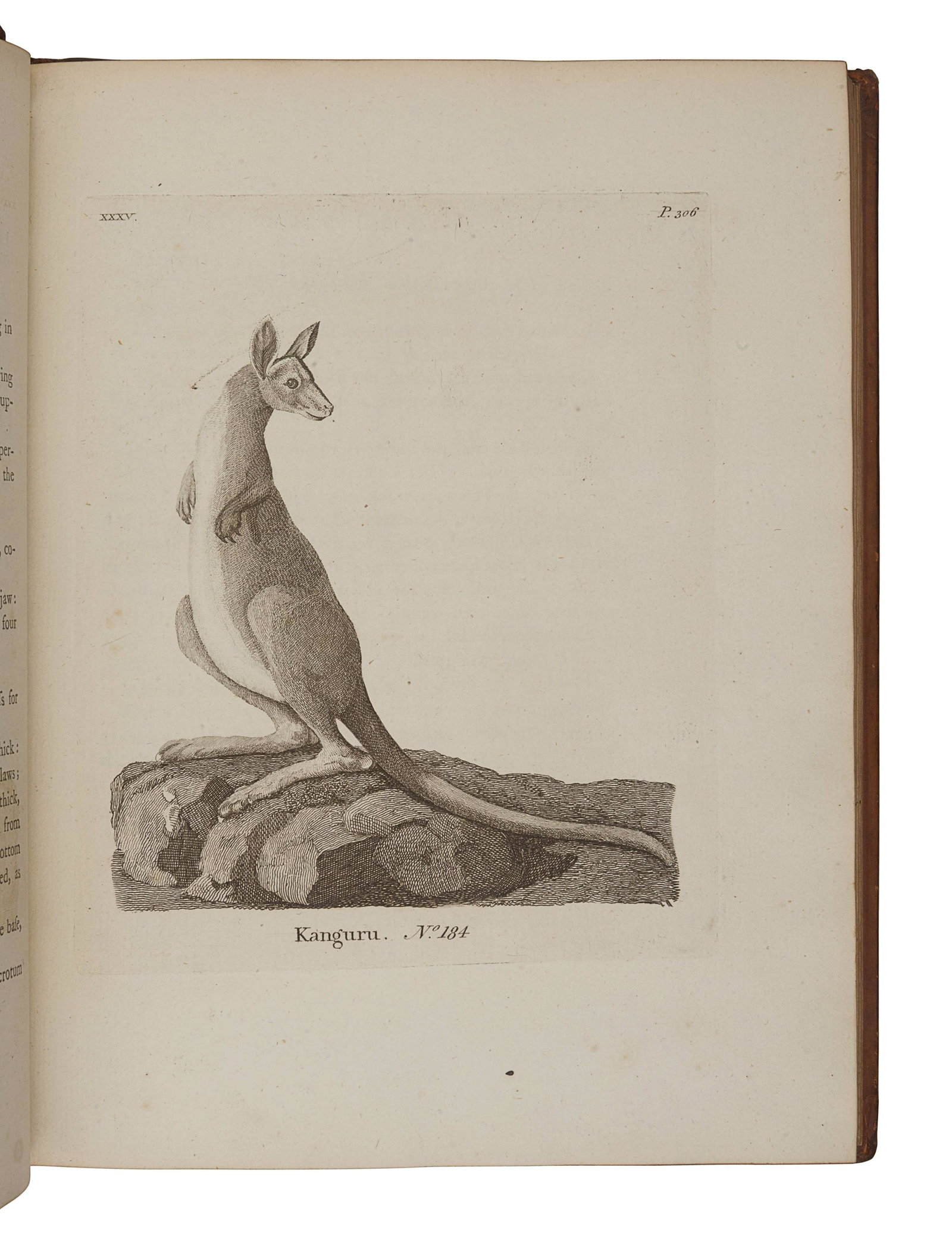 PENNANT, Thomas (1726-1798). History of: PENNANT, Thomas (1726-1798). History of Quadrupeds. London: B. White, 1781. 2 volumes, 4to. With 2 engraved titles, 52 engraved plates and 2 engraved vignettes in text. (Some minor occasional sp