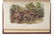 AUDUBON, John James (1785-1851). The Birds of America, - 12