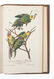 AUDUBON, John James (1785-1851). The Birds of America, - 4
