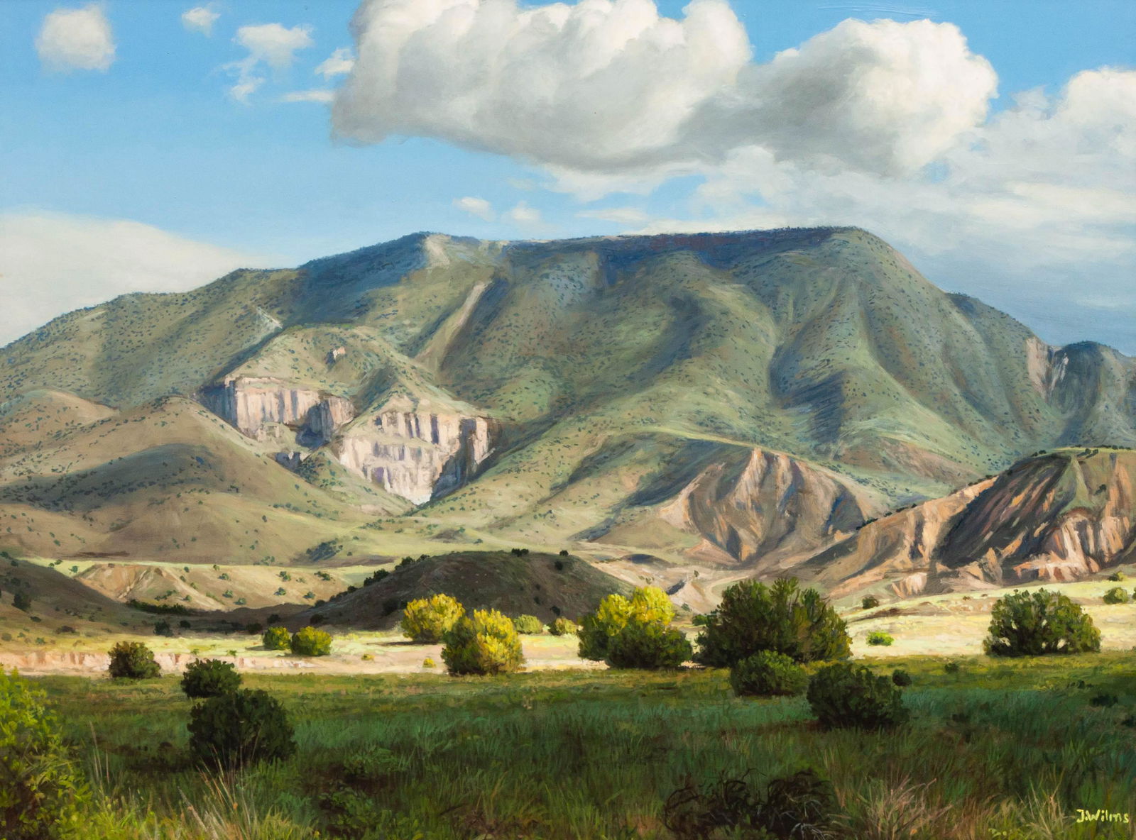 Jurgen Wilms (American, b. 1951) Landscape (1 of 4)